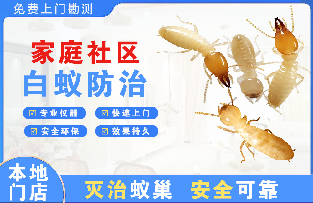 盐城家庭社区白蚁防治