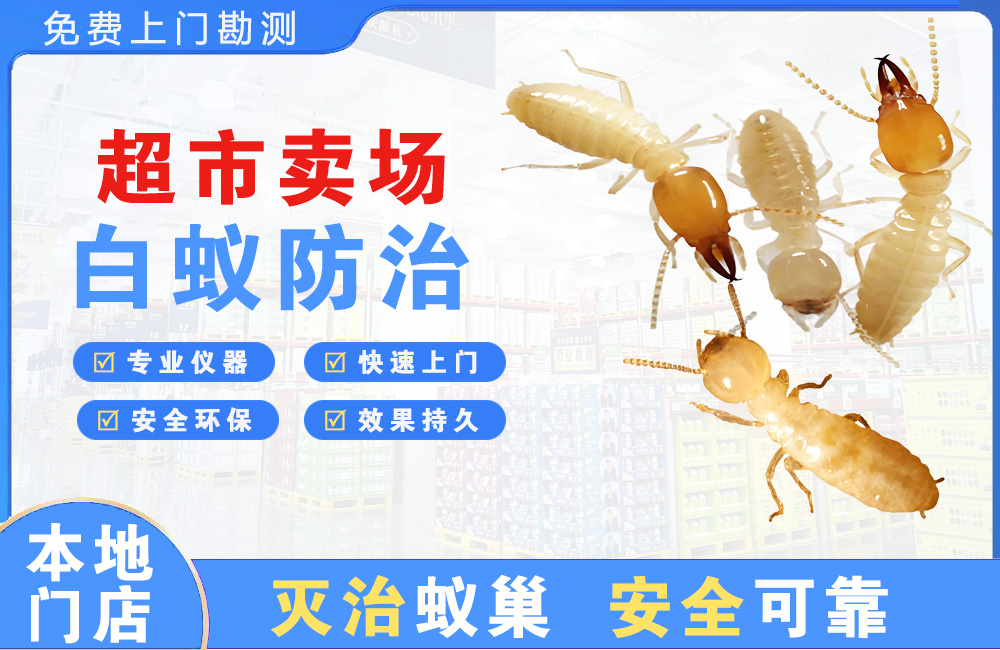 盐城超市卖场白蚁防治