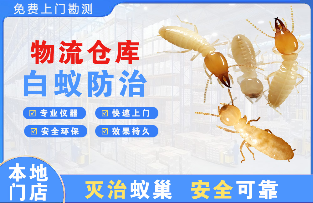 盐城物流仓库白蚁防治