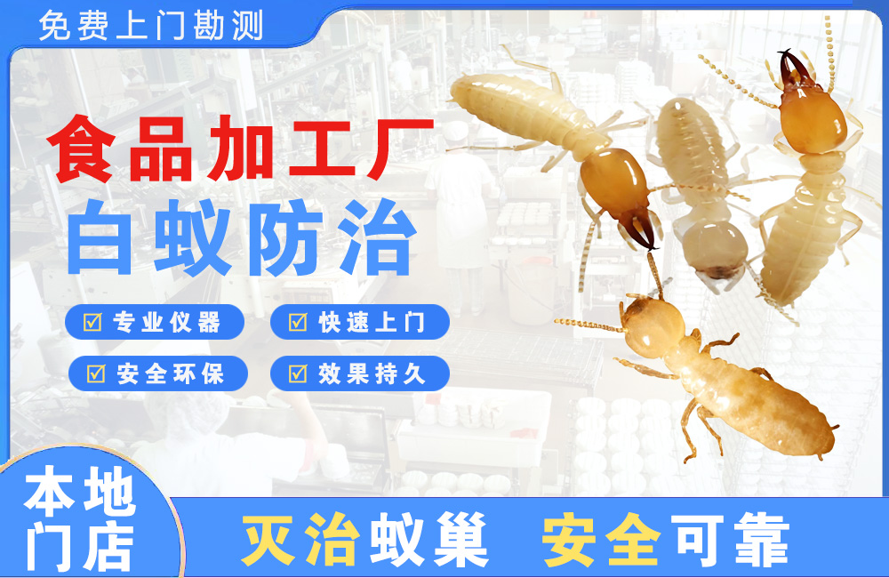 盐城食品加工厂白蚁防治