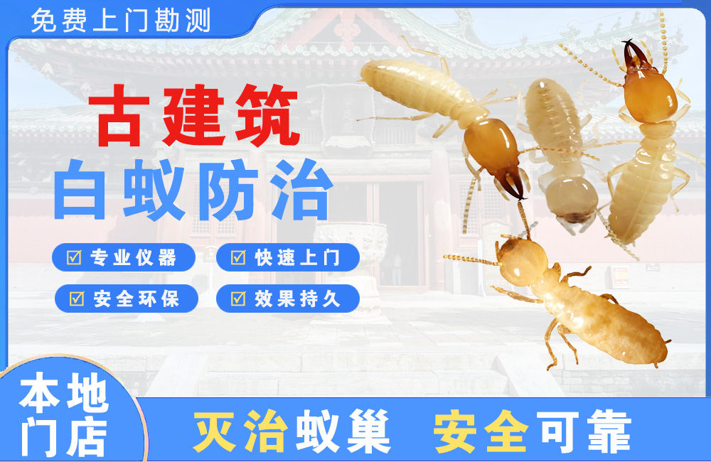 盐城古建筑白蚁防治