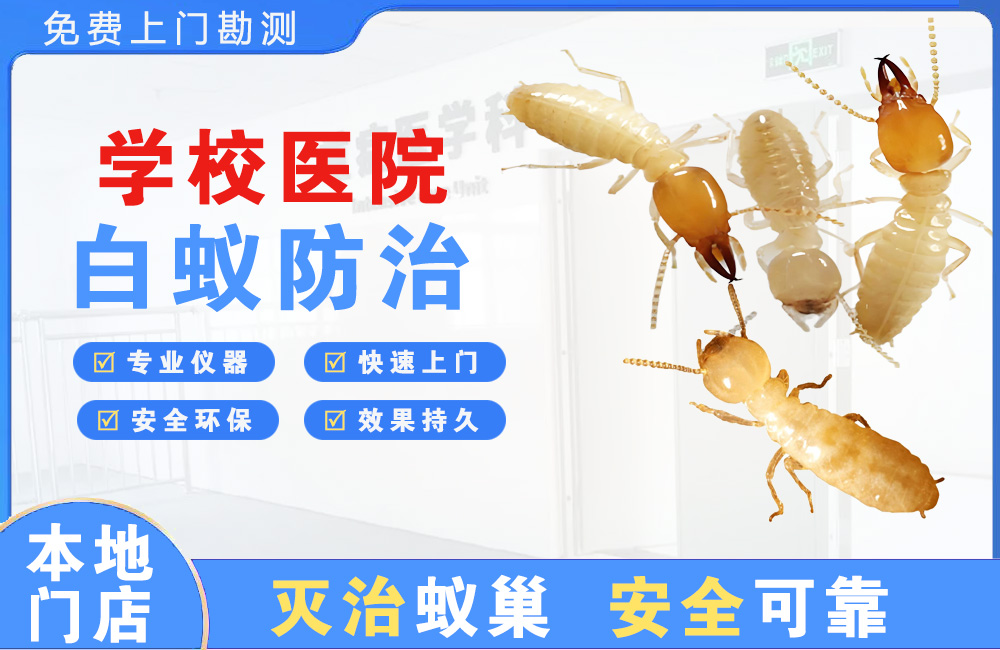盐城学校医院白蚁防治