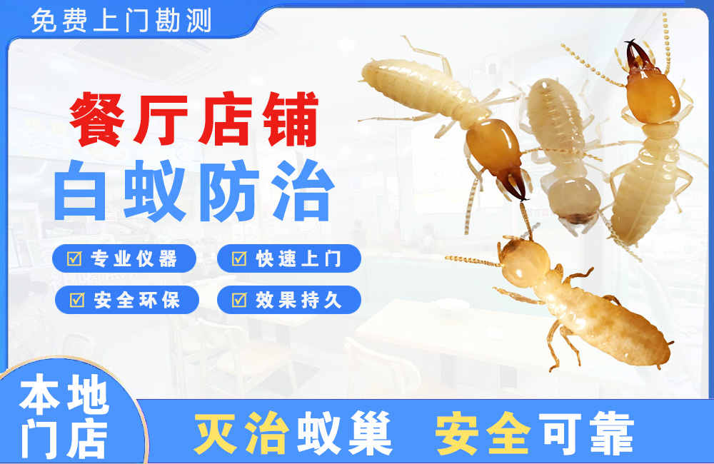盐城餐厅店铺白蚁防治